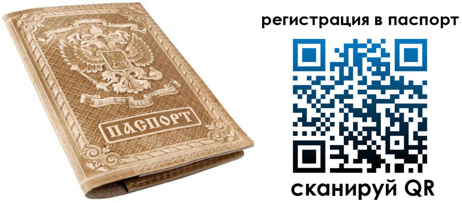 прописка в Ковдоре